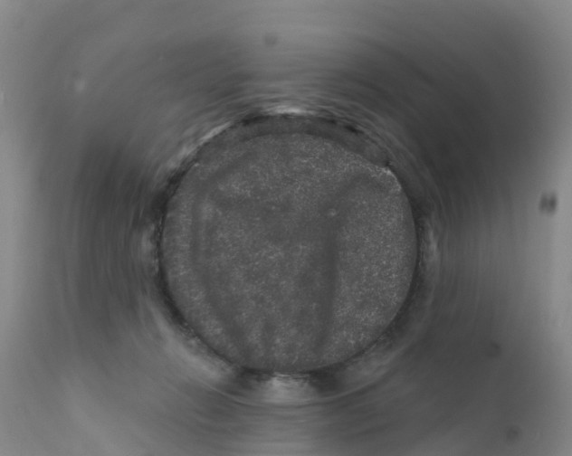 X0000111640270200908141415
