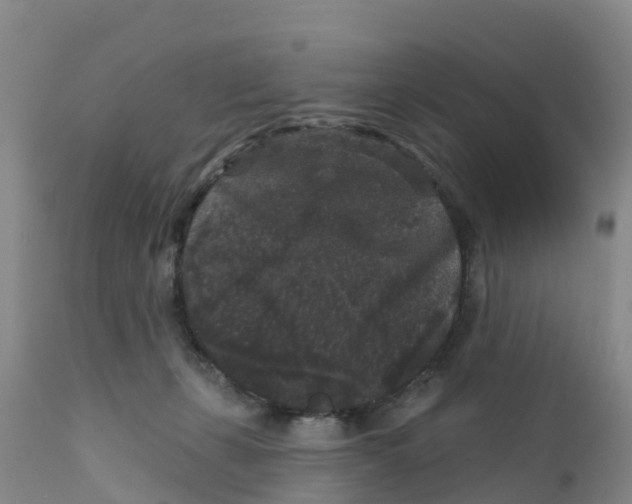X0000111640271200908141415