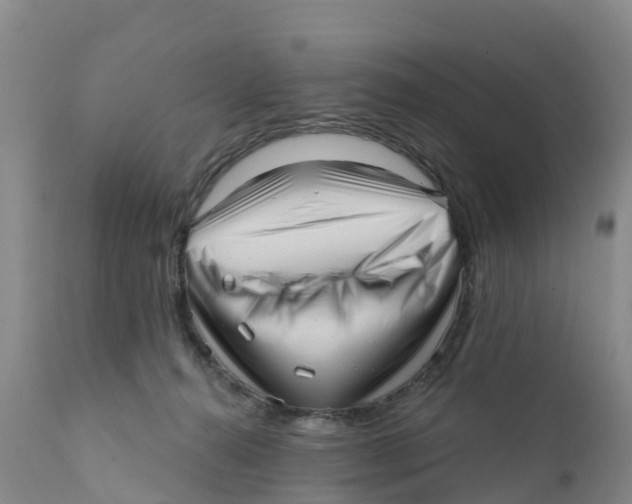 X0000111640272200908141415
