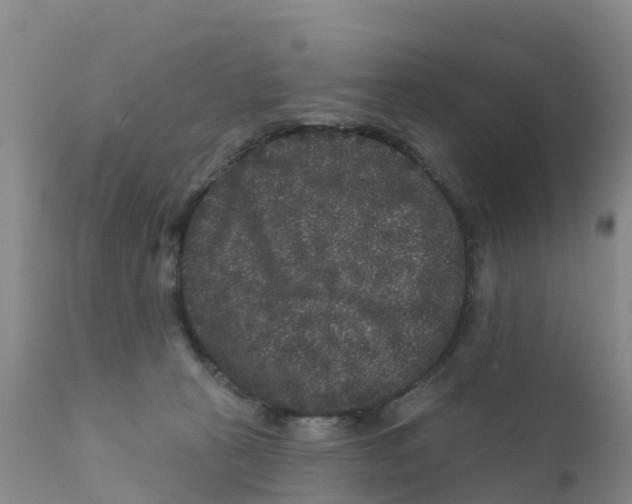 X0000111640273200908141415