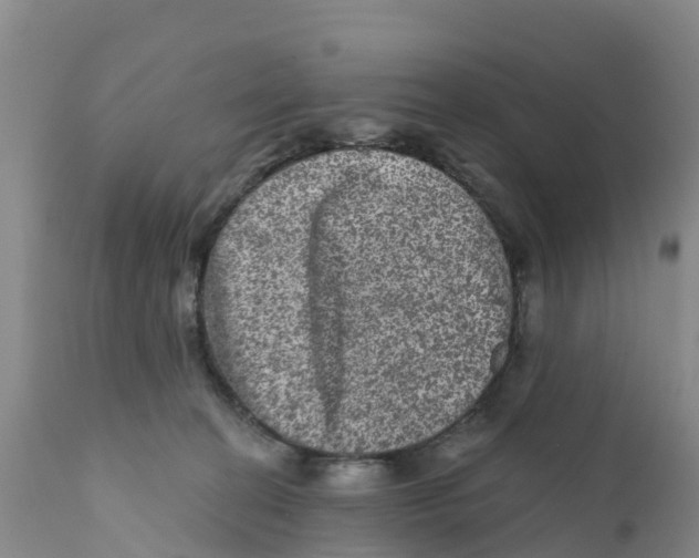 X0000111640274200908141415