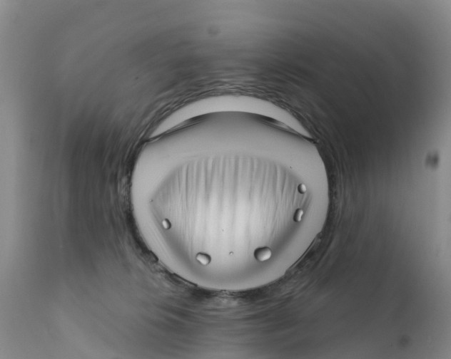 X0000111640276200908141415