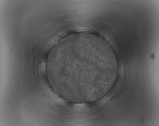 X0000111640281200908141415