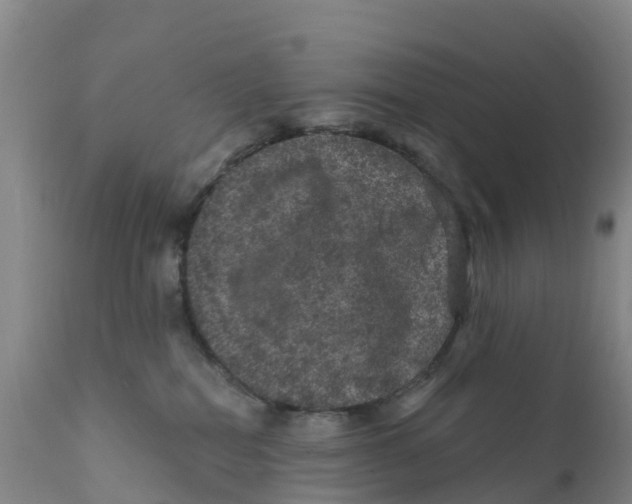 X0000111640282200908141415