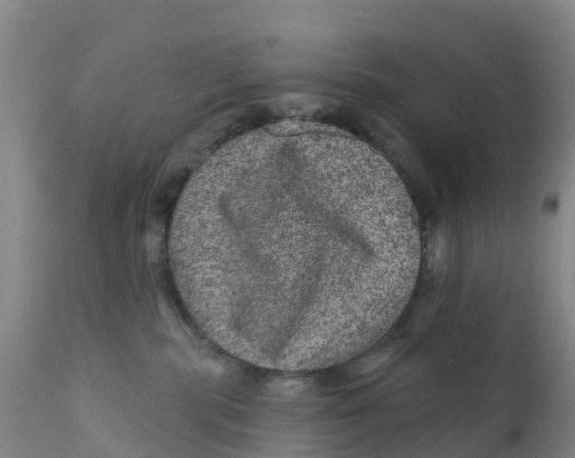 X0000111640283200908141415