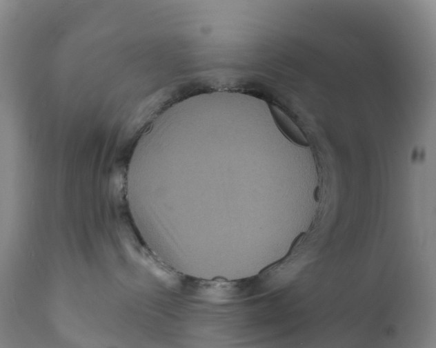 X0000111640288200908141415
