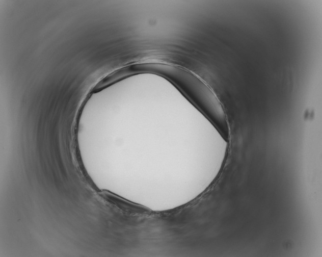 X0000111640289200908141414