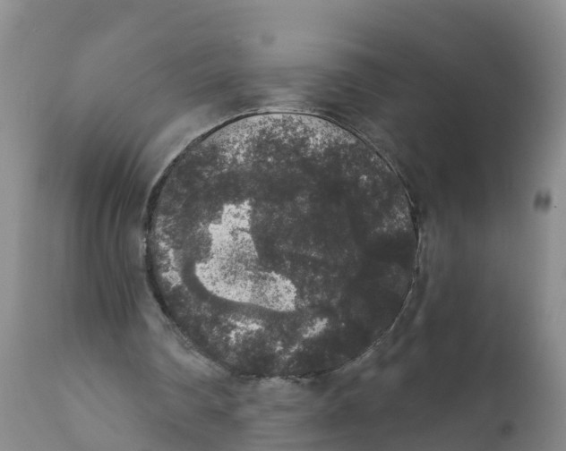 X0000111640290200908141414