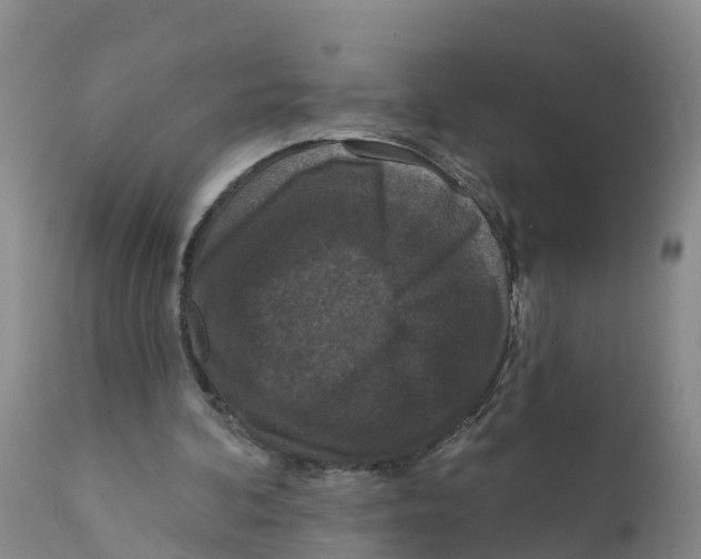 X0000111640292200908141414