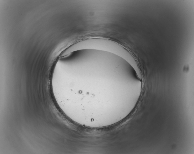 X0000111640293200908141414