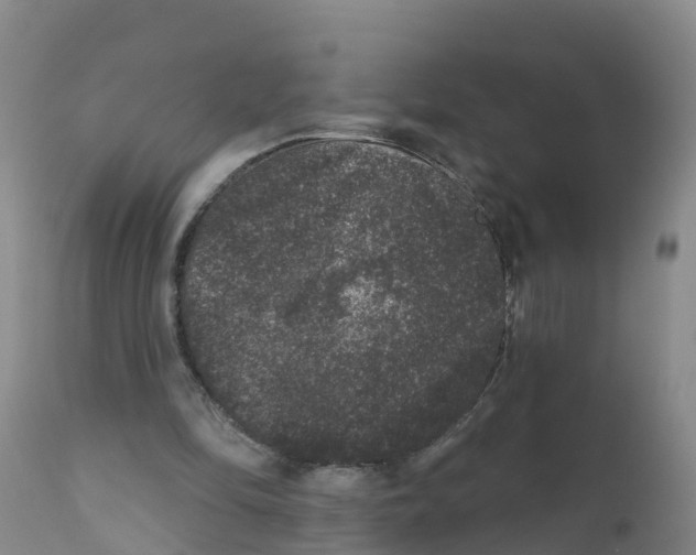 X0000111640294200908141414