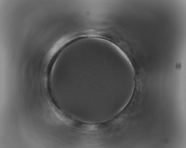 X0000111640295200908141414