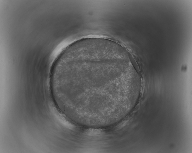 X0000111640296200908141414