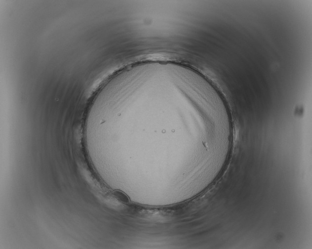 X0000111640297200908141414