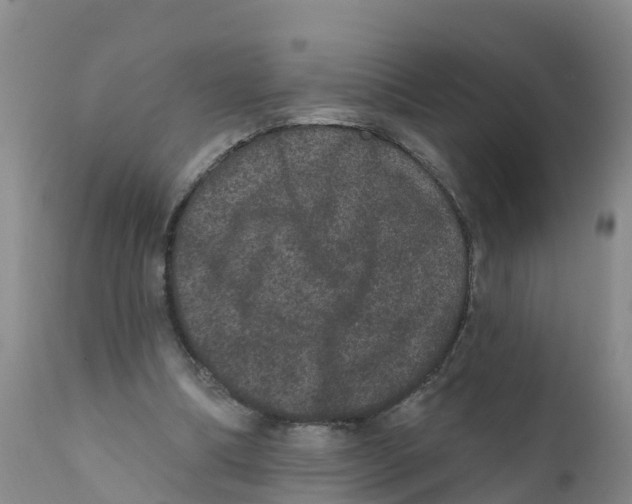 X0000111640298200908141414