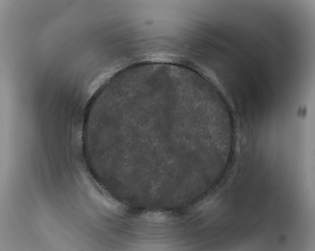 X0000111640299200908141414