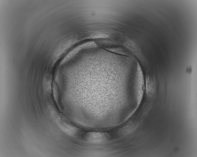 X0000111640300200908141414