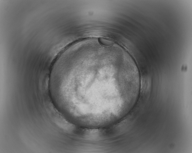 X0000111640301200908141414