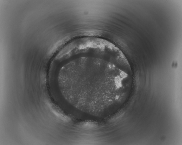 X0000111640303200908141414