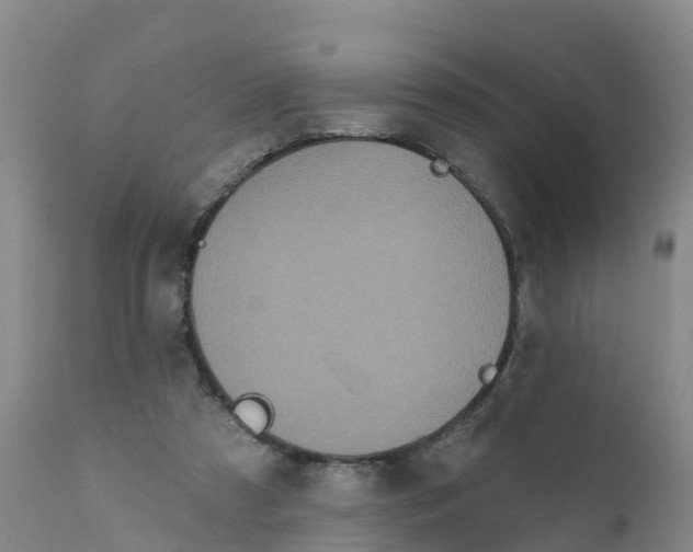 X0000111640305200908141414