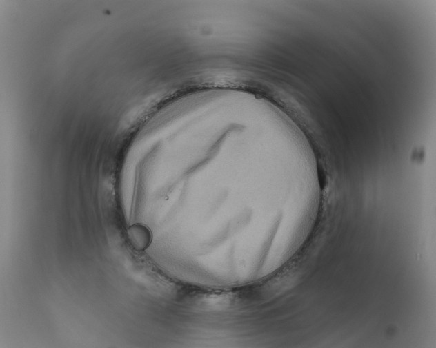 X0000111640306200908141414