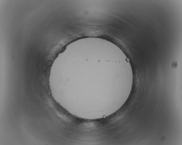 X0000111640307200908141414