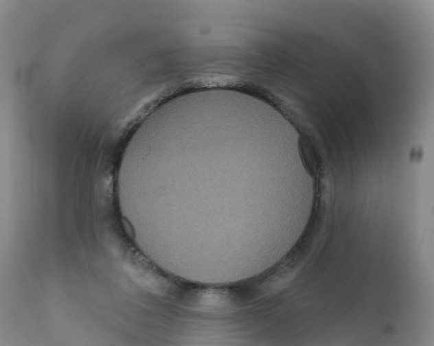 X0000111640308200908141414