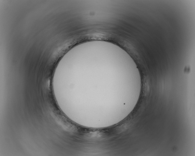 X0000111640310200908141414