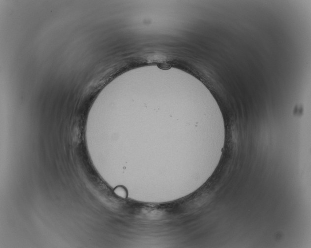 X0000111640311200908141414