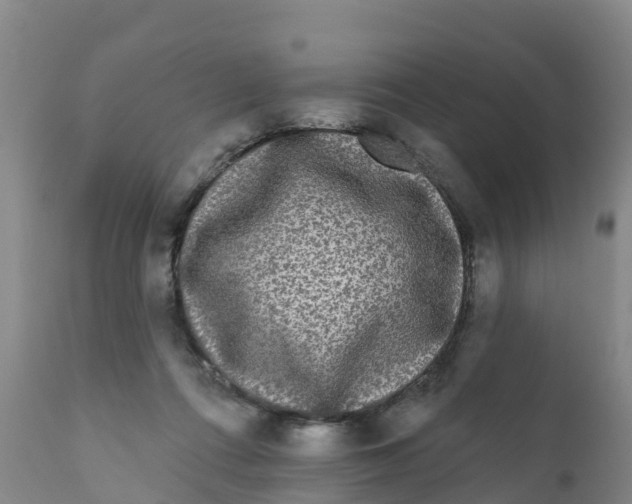 X0000111640312200908141414