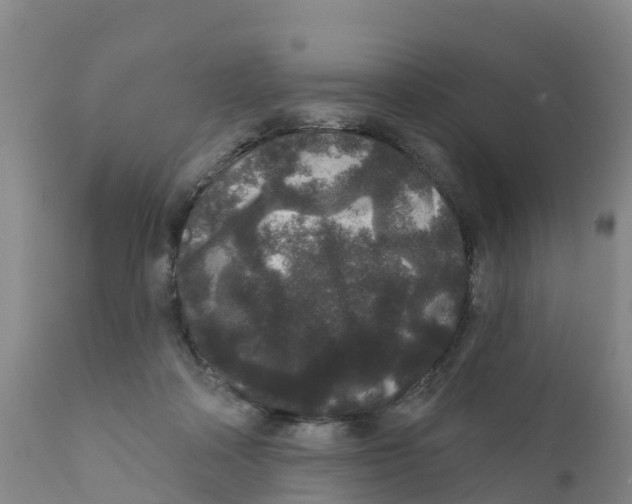X0000111640314200908141414
