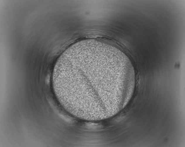 X0000111640315200908141414