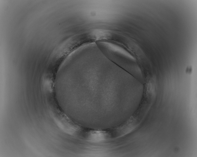 X0000111640316200908141414