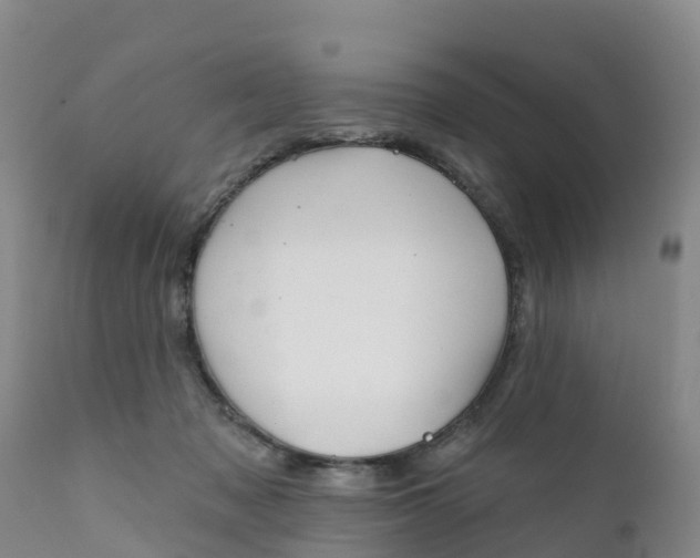X0000111640317200908141414