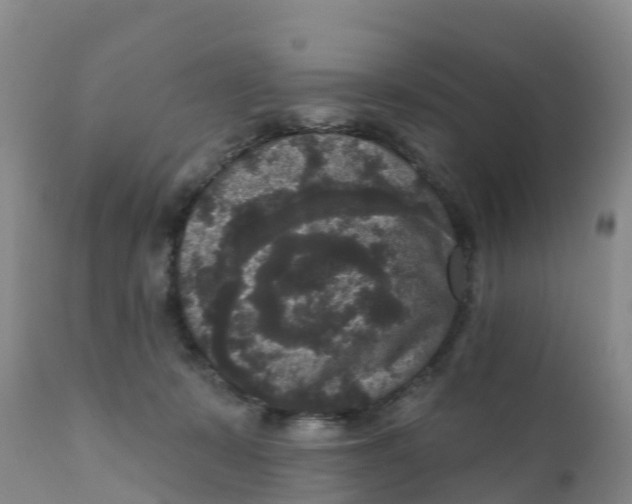 X0000111640319200908141414