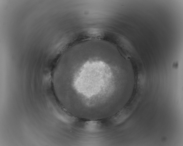 X0000111640320200908141414