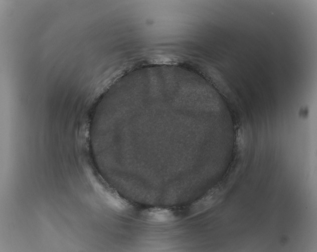 X0000111640322200908141414