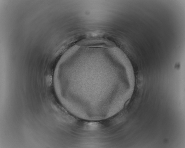 X0000111640324200908141414