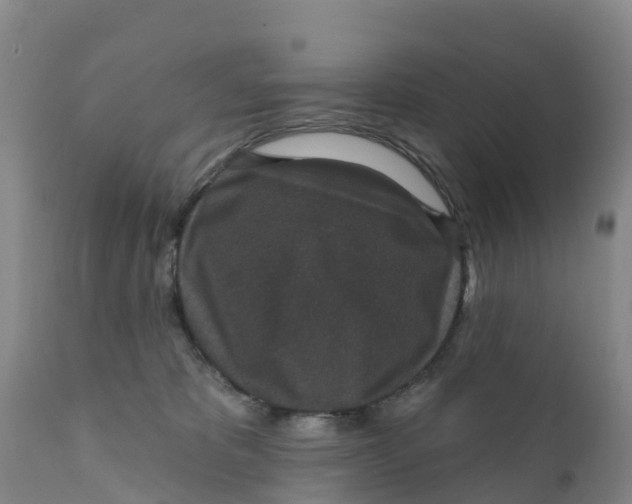 X0000111640325200908141414