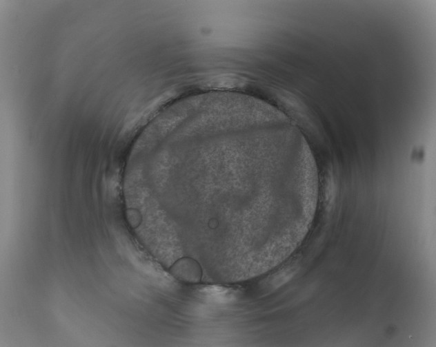 X0000111640326200908141414