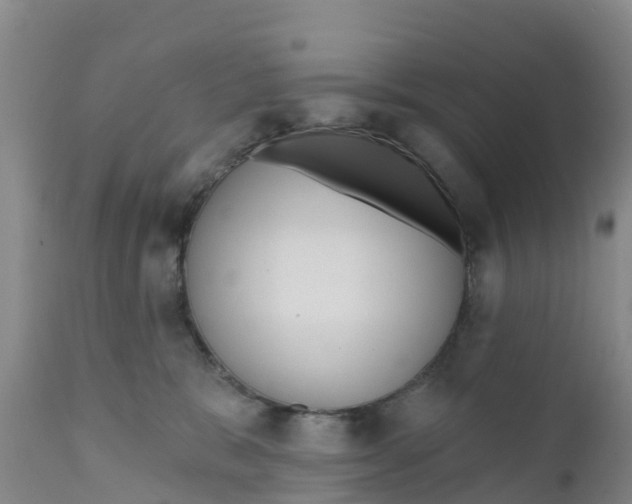 X0000111640327200908141414