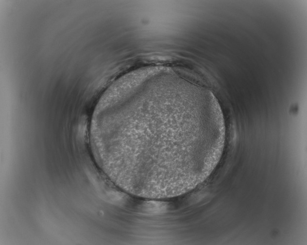 X0000111640328200908141414