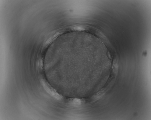 X0000111640330200908141414