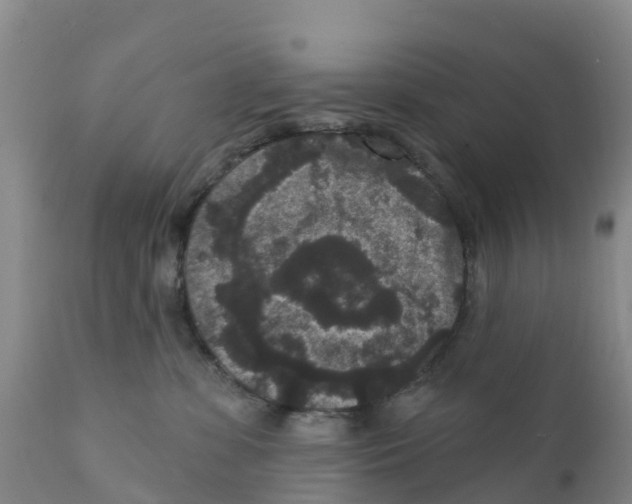 X0000111640331200908141414