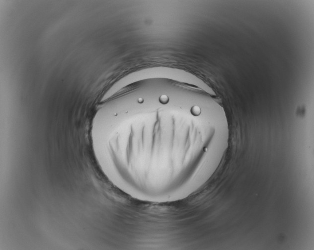 X0000111640332200908141414