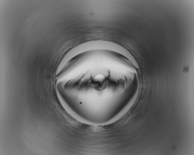 X0000111640333200908141414