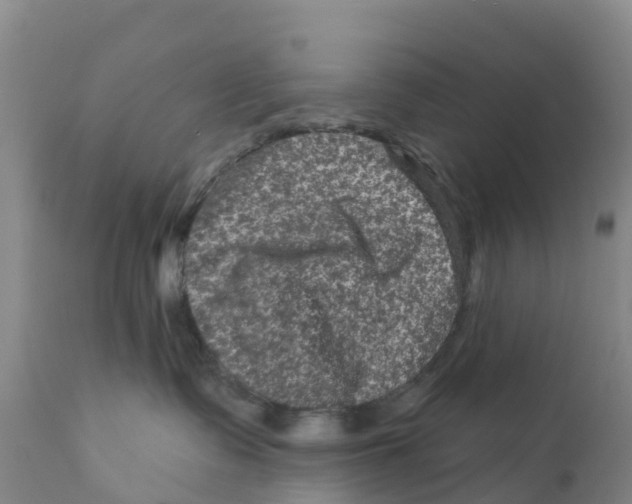 X0000111640335200908141413