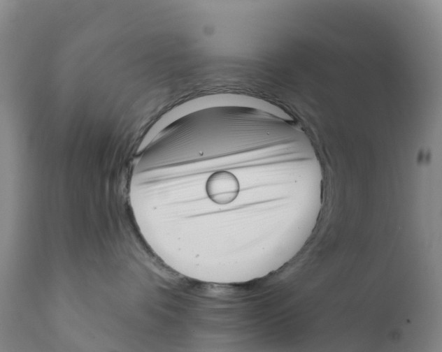 X0000111640336200908141413