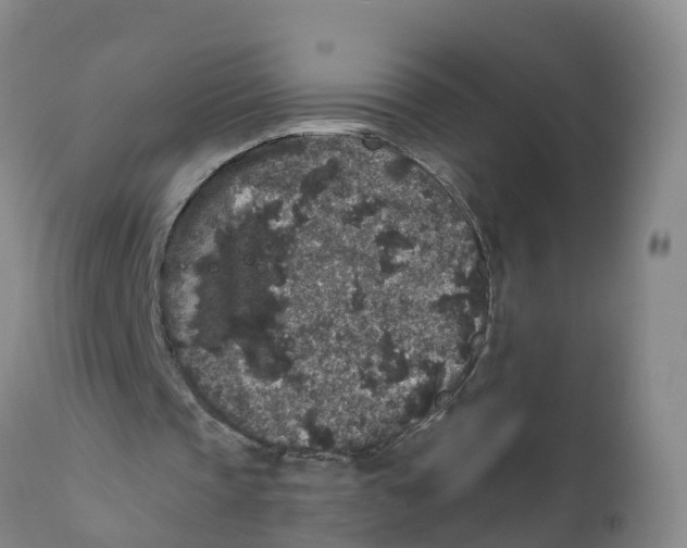 X0000111640337200908141413