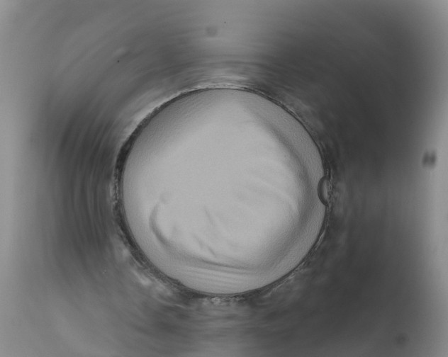 X0000111640338200908141413